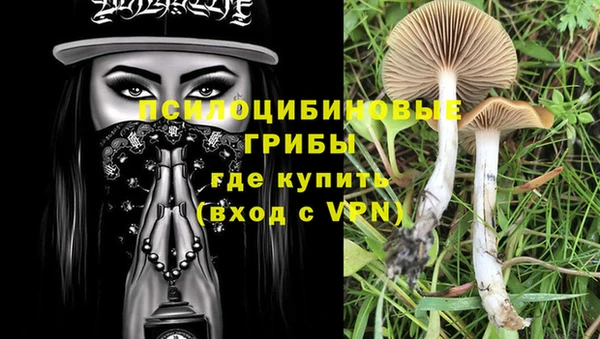 спайс Новокубанск