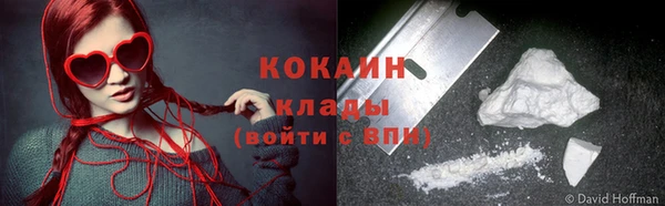 шишки Новозыбков