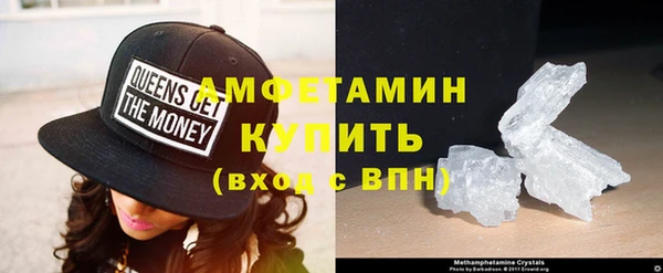 шишки Новозыбков