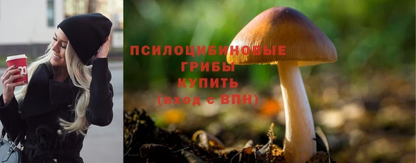 mix Новодвинск