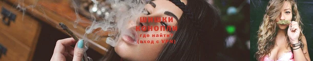шишки Новозыбков