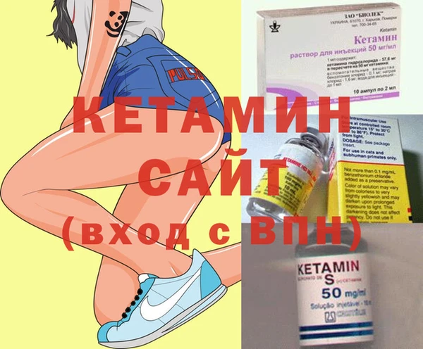 шишки Новозыбков