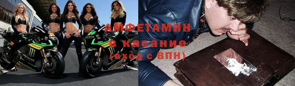 шишки Новозыбков