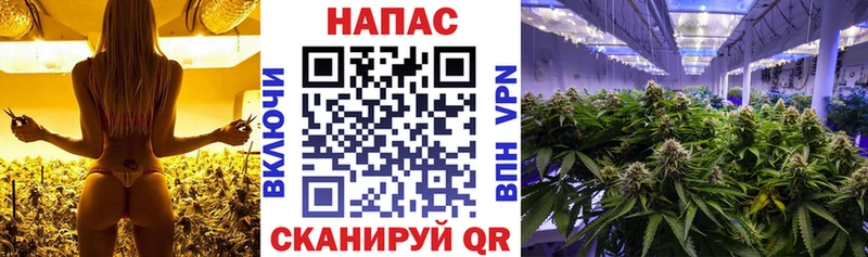 Каннабис VHQ  Игра 